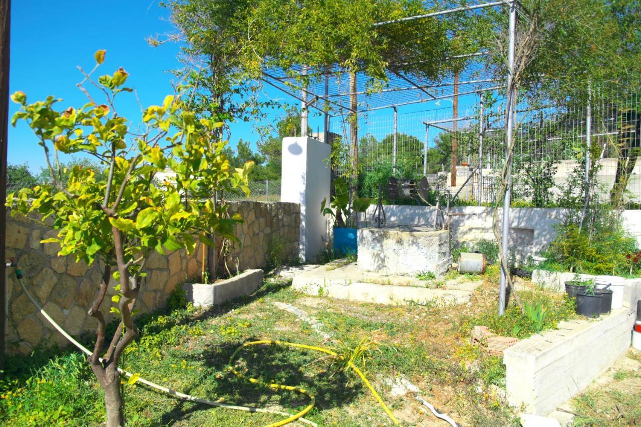 Вилла Georgia'S House Aegina Экстерьер фото